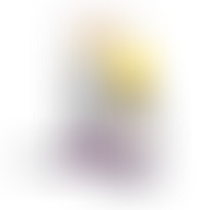 The Clear CBD Vape Oil 1500mg 30ml Bottle logo